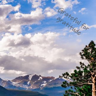 Gratitude Journal