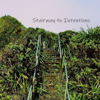 Intentions Journal